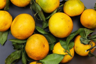 Mandarin meyvesi siyahı izole et