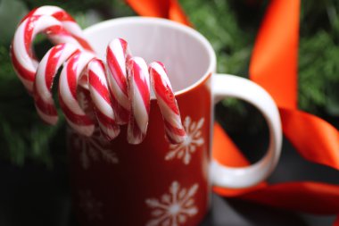 şeker kamışı sopa