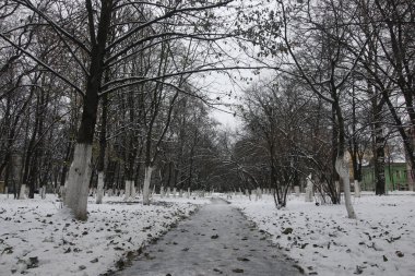 Kış park yolu perspektif