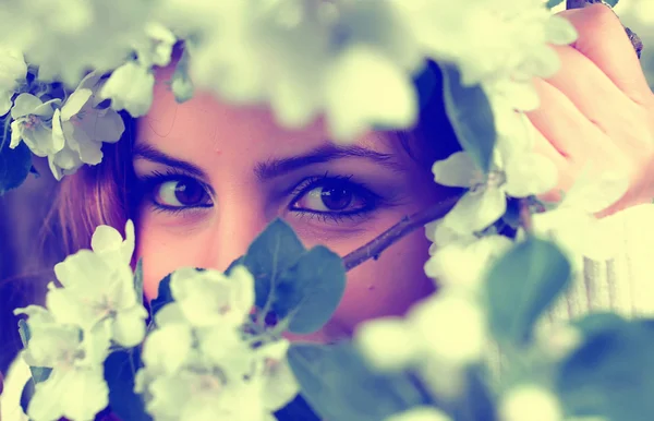 Kvinnor öga i gren träd blomma — Stockfoto