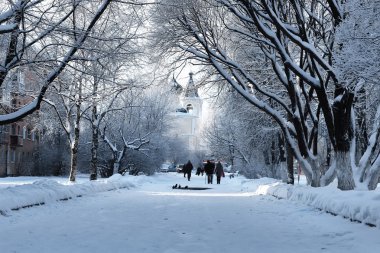 karla kaplı bitki kış park Şubesi