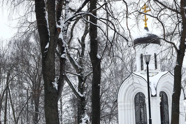 Kış Park Kilisesi — Stok fotoğraf