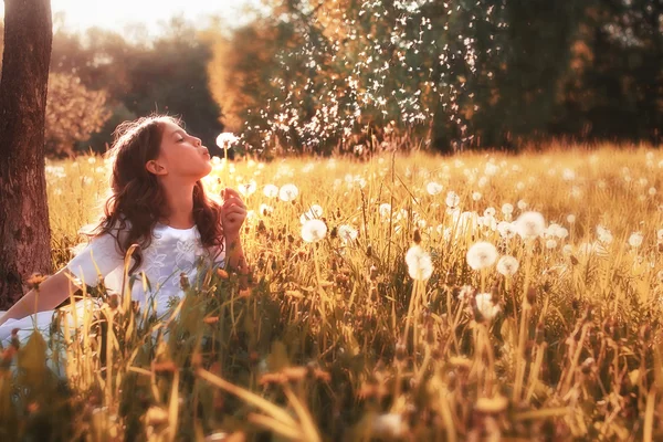 Ragazza con dundelion nel parco autunnale — Foto Stock