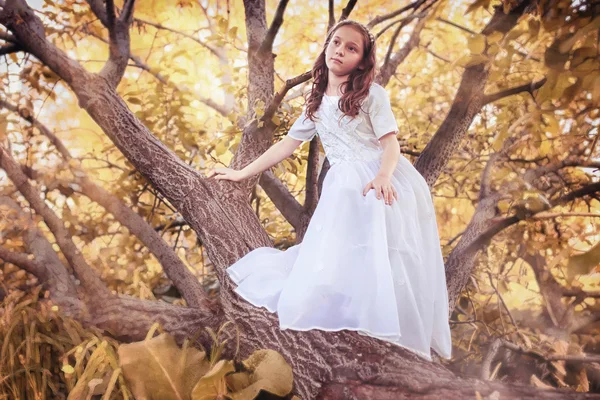 Ung flicka i en vit klänning mot ett träd i höst — Stockfoto