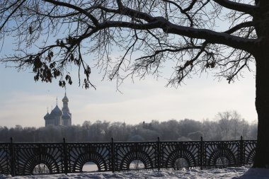 Kış ağaç çit kubbe