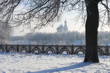 Kış ağaç çit kubbe