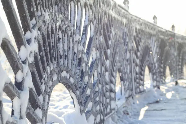 Zimní strom plot dome — Stock fotografie
