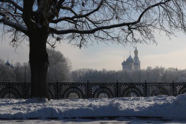 Kış ağaç çit kubbe