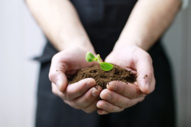 adam el avuç içi Filiz tutarak