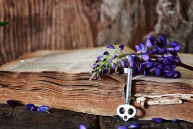 ahşap masa anahtar Retro kitap