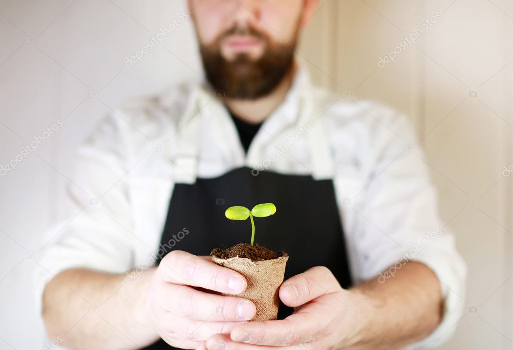 man hand holding sprout in palms