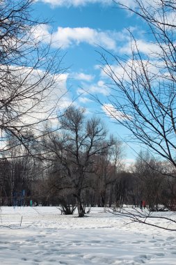 Erimiş kar manzarası ağacı