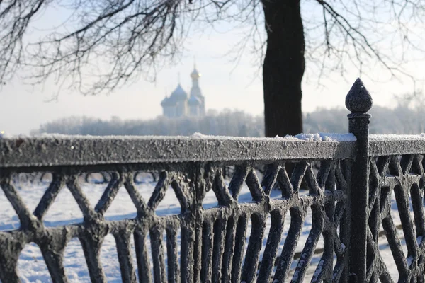 Winter tree fence dome — Stock Photo, Image