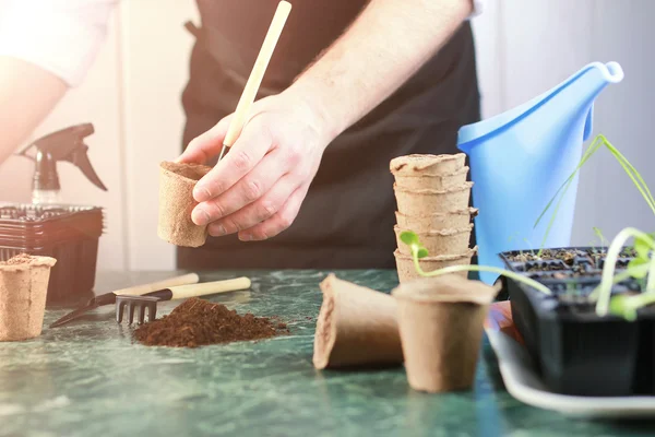 Jardinería en casa mano brotar mesa — Foto de Stock