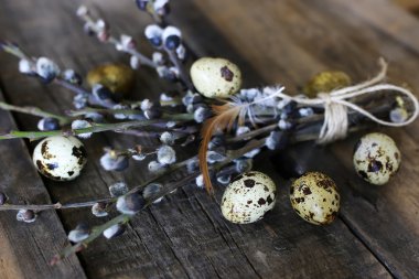 Bahar yumurta dal willow ahşap arka plan