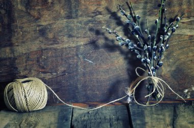 Bahar dal willow ahşap arka plan