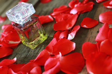 parfüm şişesi ve yaprakları