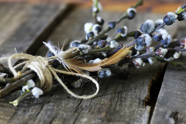 dal willow ahşap arka plan