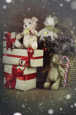 bir çam kozalağı Christmas dalları