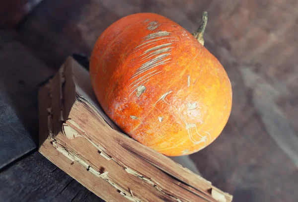 Citrouille entière sur vieux livre en bois — Photo