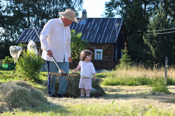 Foin récolté par l'enfant et son grand-père — Photo