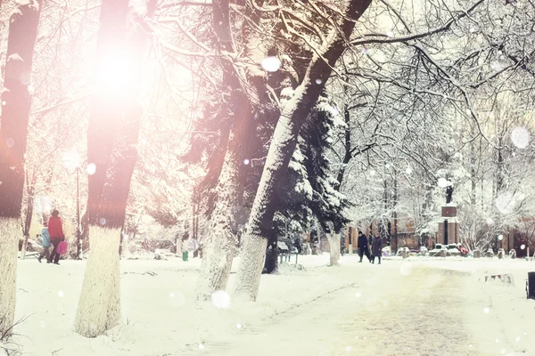 歩道冬の木の枝 — ストック写真