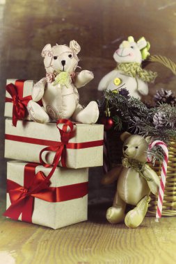 bir çam kozalağı Christmas dalları