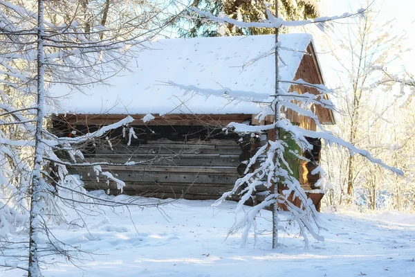 Zimní lesní krajina slunce sníh — Stock fotografie