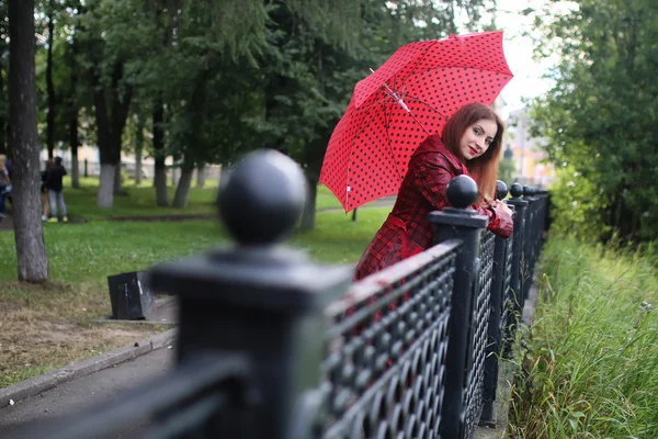 Woman with umbrella red on street tree — Stock Photo, Image