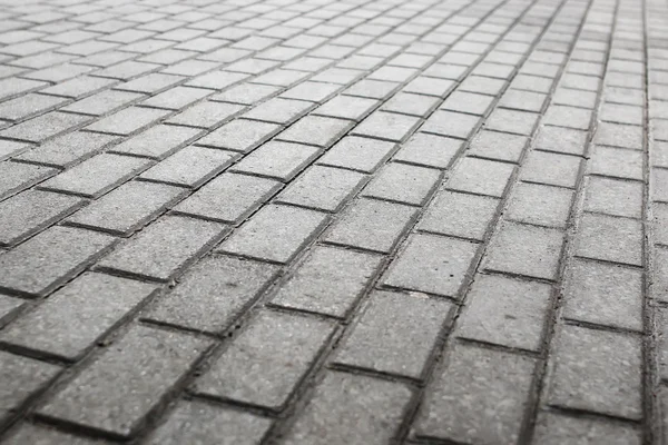 Paved cobblestone pavement — Stock Photo, Image