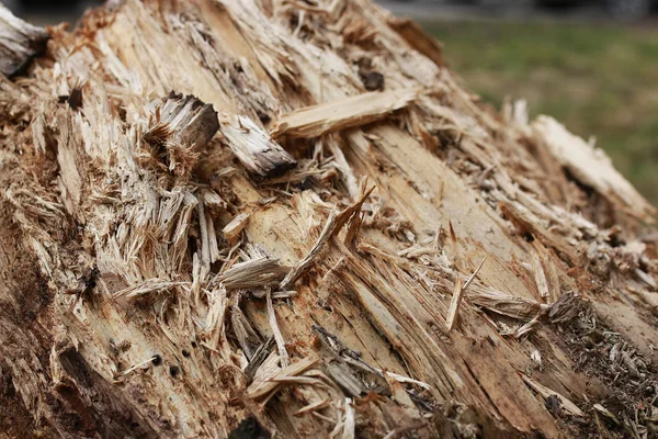 doku dökülüverdi güdük