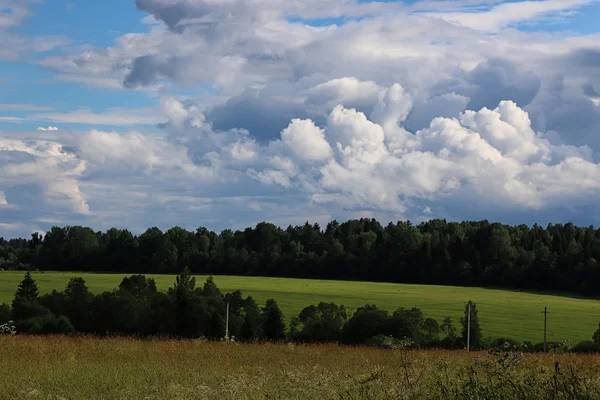 Tájkép rét ég felhő — Stock Fotó