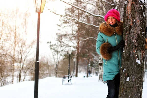 Молодая женщина зима дерево — стоковое фото