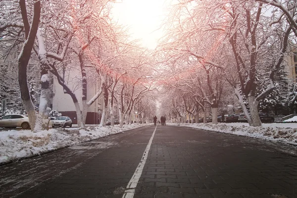 Deptak droga drzewo zima — Zdjęcie stockowe