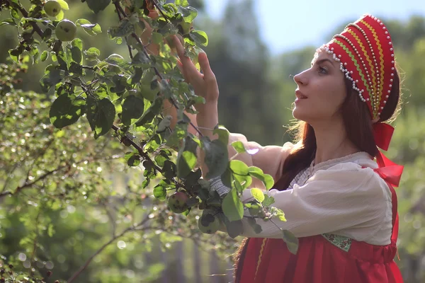 Esclavo en vestido tradicional recoge la cosecha de manzanas —  Fotos de Stock