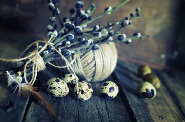 yumurta dal willow ahşap arka plan