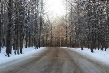 Ormanın içinden kış yol