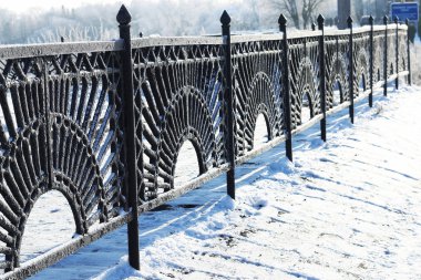 Kış ağaç çit kubbe