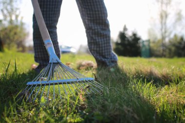 eski ot toplamak için Tırmıklar