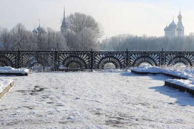 Kış ağaç çit kubbe