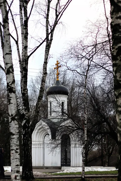 Ancienne cathédrale nordique — Photo