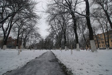 Kış park yolu perspektif