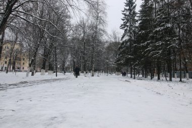 Kış park yolu perspektif