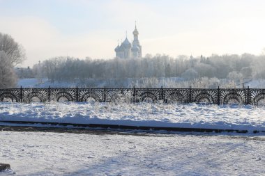 Kış ağaç çit kubbe
