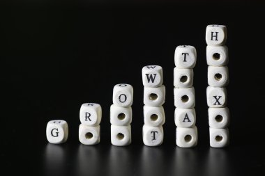 büyüme vergi metin