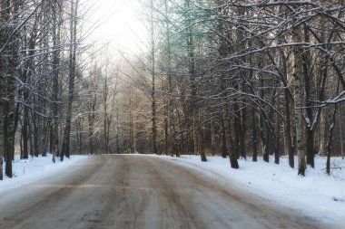 Ormanın içinden kış yol