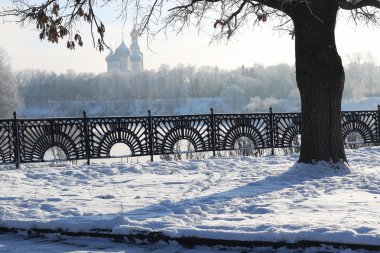 Kış ağaç çit kubbe