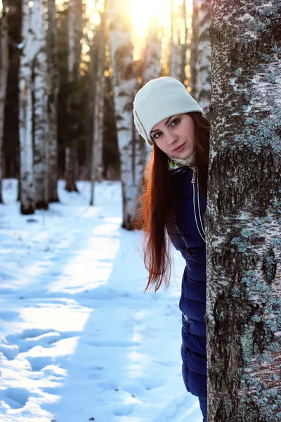 Portrait d'hiver femelle en forêt — Photo