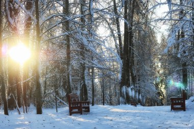 Kışın ahşap Bank