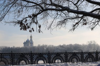 Kış ağaç çit kubbe
